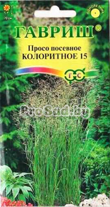 Просо посевное Колоритное 15