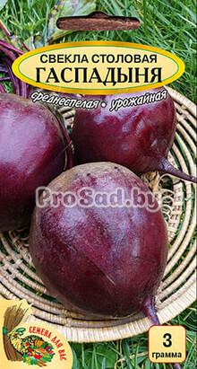 Свекла столовая Гаспадыня