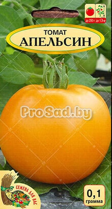 Томат Апельсин