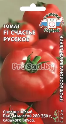 Томат F1 Счастье русское