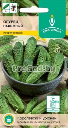 Огурец Надёжный