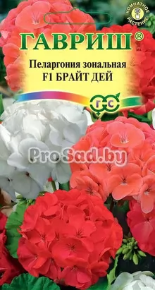 Пеларгония зональная F1 Брайт дей