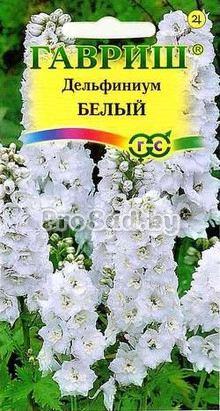 Дельфиниум культурный Белый