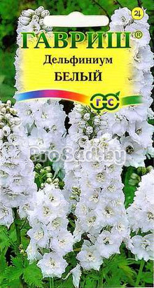 Дельфиниум культурный Белый