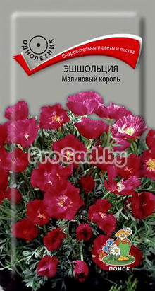Эшшольция Малиновый король