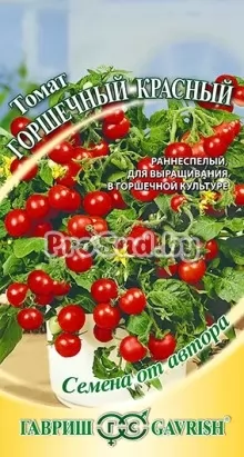 Томат Горшечный красный