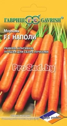 Морковь F1 Наполи (Голландия)