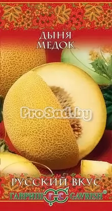 Дыня Медок