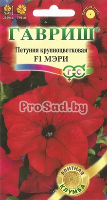 Петуния крупноцветковая F1 Мэри