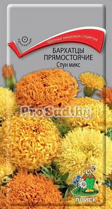 Бархатцы прямостоячие Спун микс