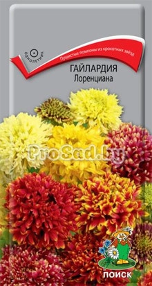Гайлардия Лоренциана
