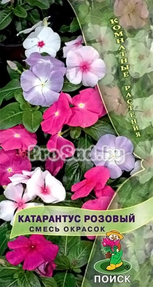 Катарантус розовый, смесь окрасок