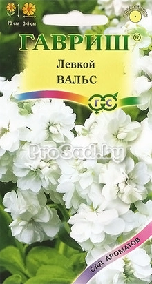 Левкой Вальс
