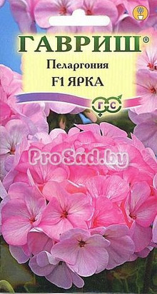 Пеларгония зональная F1 Ярка