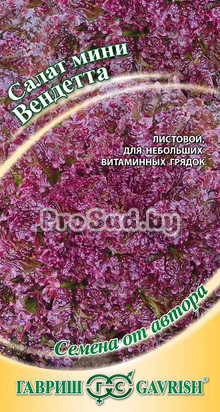 Салат мини Вендетта