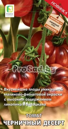Томат Черничный десерт