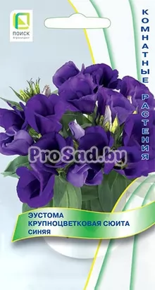 Эустома крупноцветковая Сюита Синяя