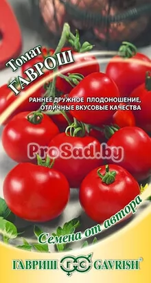 Томат Гаврош