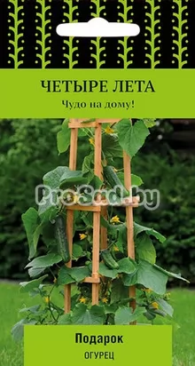 Огурец F1 Подарок