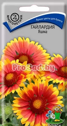 Гайлардия Яшма