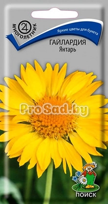 Гайлардия Янтарь