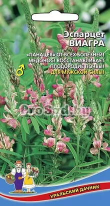 Эспарцет Виагра