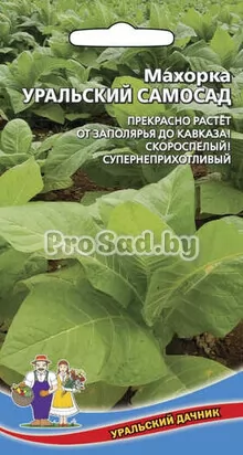 Махорка Уральский самосад