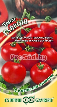 Томат Гаврош