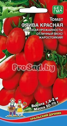 Томат Слива красная