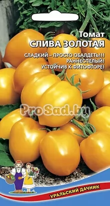 Томат Слива золотая
