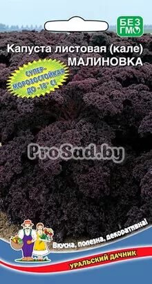 Капуста листовая (кале) Малиновка