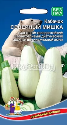 Кабачок Северный мишка