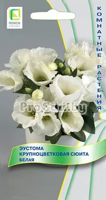 Эустома крупноцветковая Сюита Белая