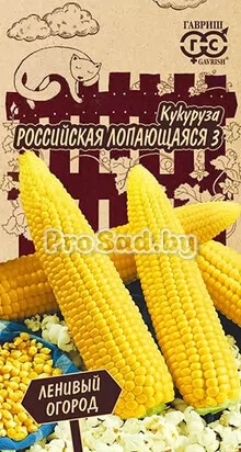Кукуруза Российская лопающаяся