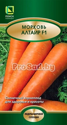 Морковь F1 Альтаир