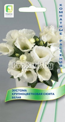 Эустома крупноцветковая Сюита Белая