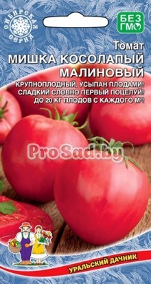 Томат Мишка косолапый Малиновый