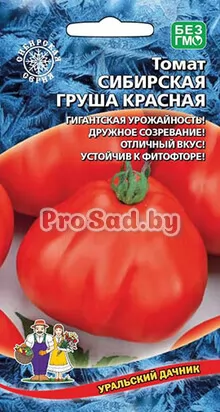 Томат Сибирская груша Красная