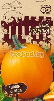 Тыква Золушка