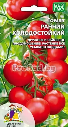 Томат ранний Холодостойкий