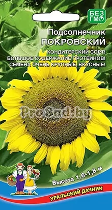 Подсолнечник Покровский