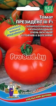 Томат F1 Президент III (Голландия)