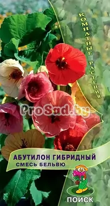 ​Абутилон Смесь Бельвю​
