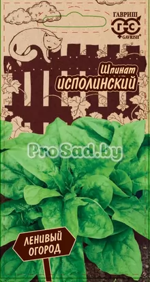 Шпинат Исполинский