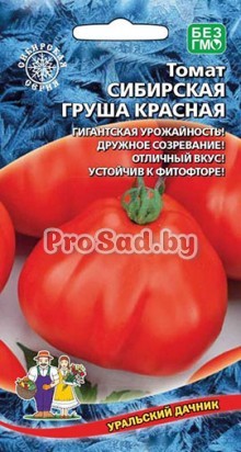 Томат Сибирская груша Красная