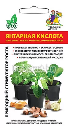 Янтарная кислота