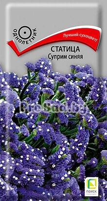 Статица (Кермек, Лимониум) Суприм синяя