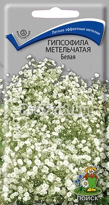 Гипсофила метельчатая Белая