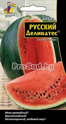 Арбуз Русский деликатес