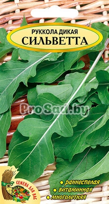 Руккола дикая Сильветта